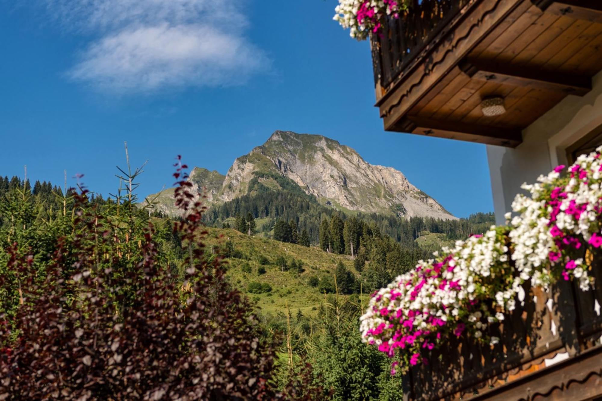 Bauernhofhotel "Die Unterbergerin" - Zimmer Mit Fruehstueck Und Ferienwohnungen In Gastein Mit Gratis Thermeneintritt Dorfgastein Extérieur photo