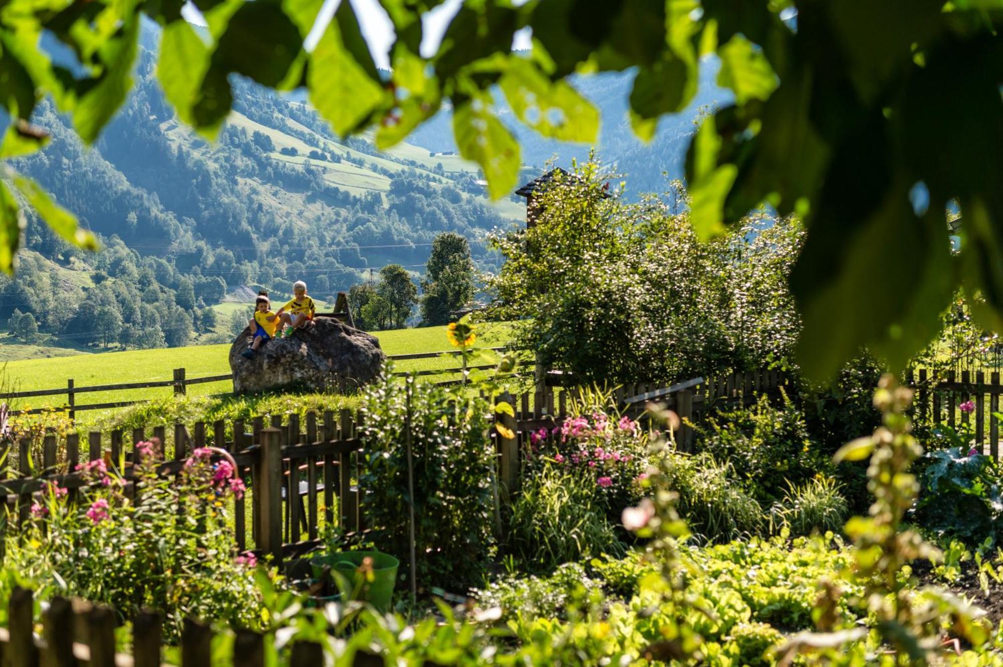 Bauernhofhotel "Die Unterbergerin" - Zimmer Mit Fruehstueck Und Ferienwohnungen In Gastein Mit Gratis Thermeneintritt Dorfgastein Extérieur photo