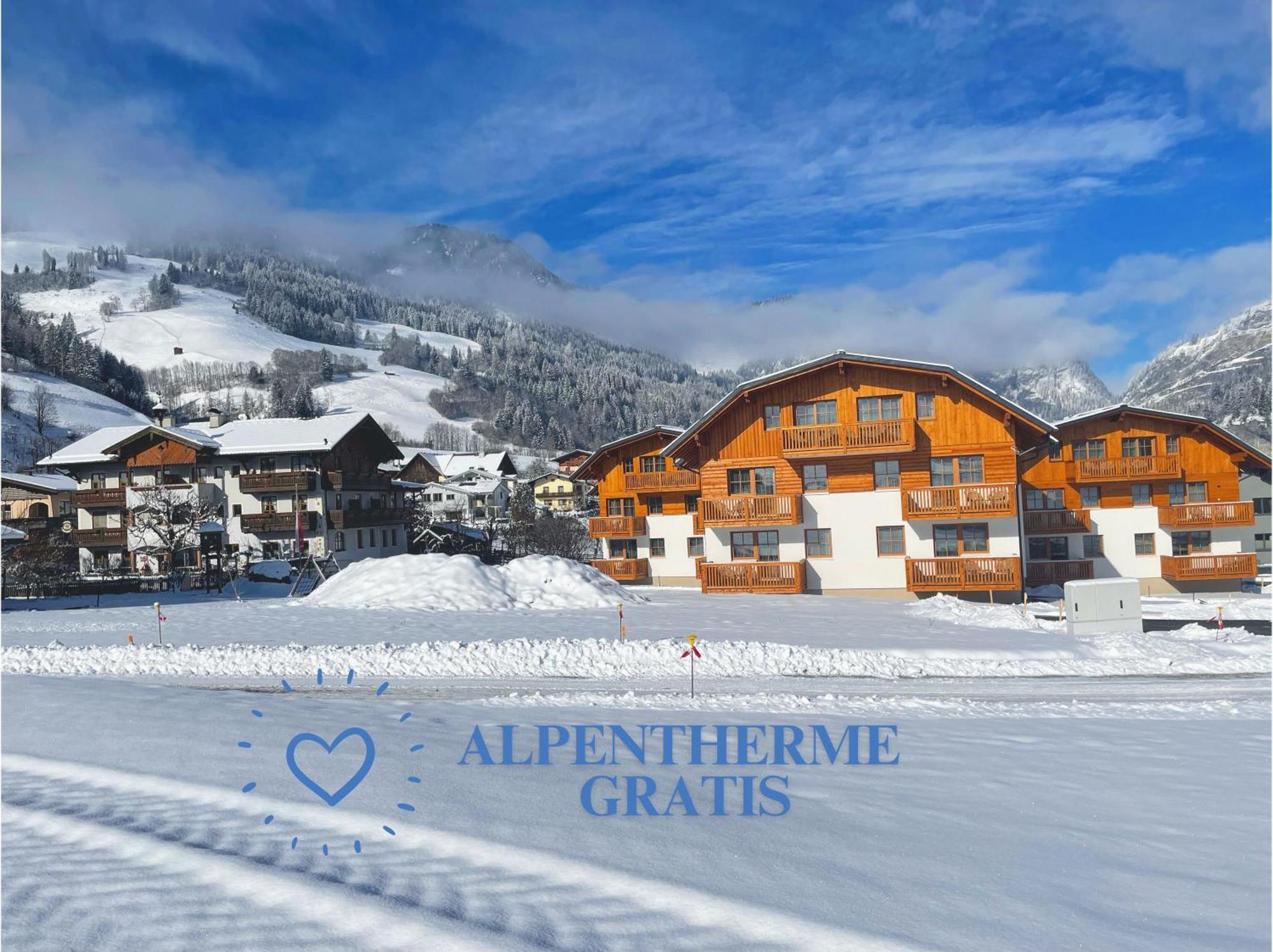 Bauernhofhotel "Die Unterbergerin" - Zimmer Mit Fruehstueck Und Ferienwohnungen In Gastein Mit Gratis Thermeneintritt Dorfgastein Extérieur photo