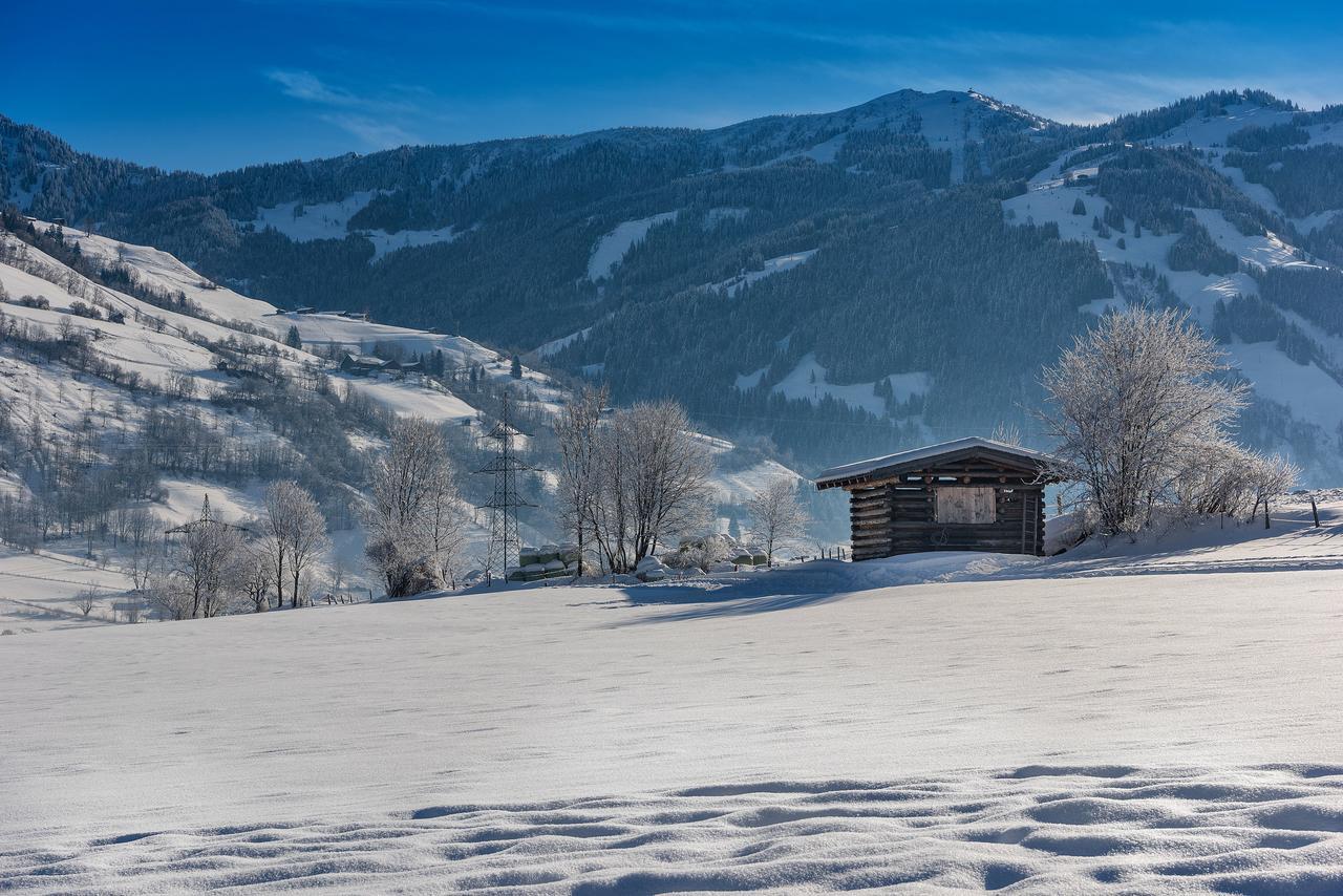 Bauernhofhotel "Die Unterbergerin" - Zimmer Mit Fruehstueck Und Ferienwohnungen In Gastein Mit Gratis Thermeneintritt Dorfgastein Extérieur photo