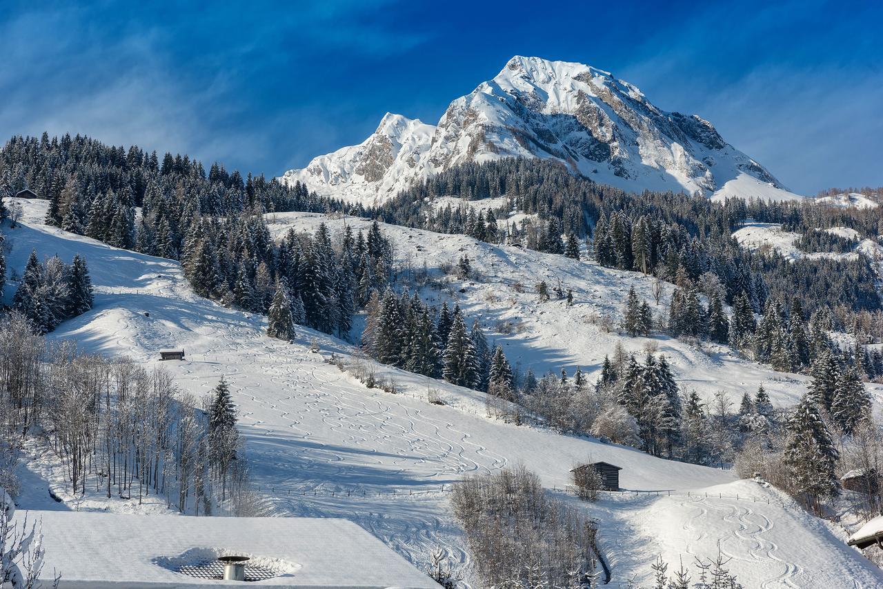 Bauernhofhotel "Die Unterbergerin" - Zimmer Mit Fruehstueck Und Ferienwohnungen In Gastein Mit Gratis Thermeneintritt Dorfgastein Extérieur photo